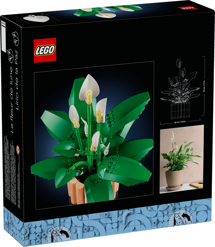 11504_Box5_v39_en-gb
