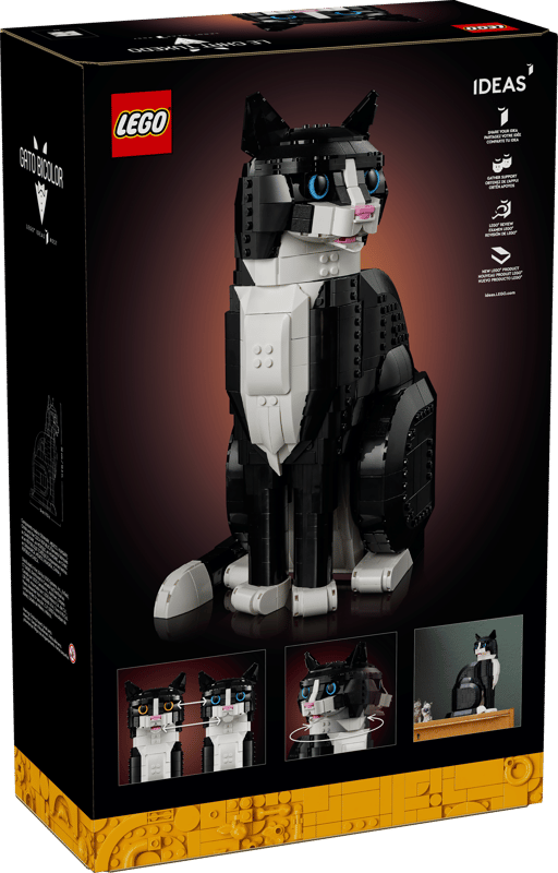 21349_Box5_v39